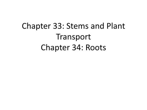 PPT Chapter 33 Stems And Plant Transport Chapter 34 Roots