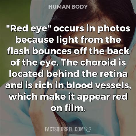 Red Eye Occurs In Photos Because Light From The Flash Bounces Off The