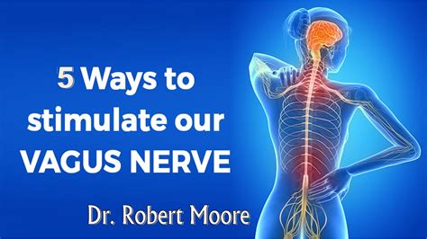 5 Ways To Stimulate Our Vagus Nerve By Dr Robert Moore Brighton Mi Youtube