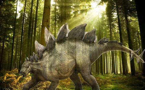 The Heaviest Stegosaurians Stegosauria Top 10