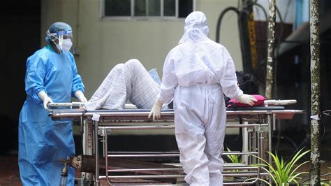 Brazil records world's first Oropouche virus deaths - World News