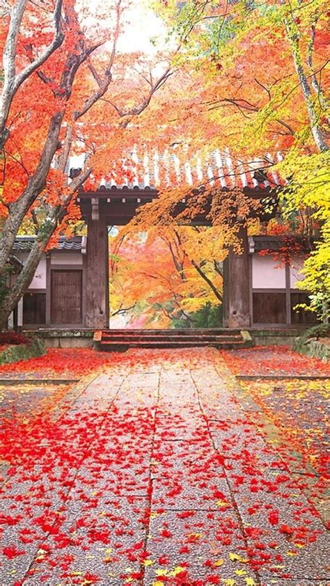 Microsoft Bing Hd Wallpapers Japanese Landscape Theme Wallpapers