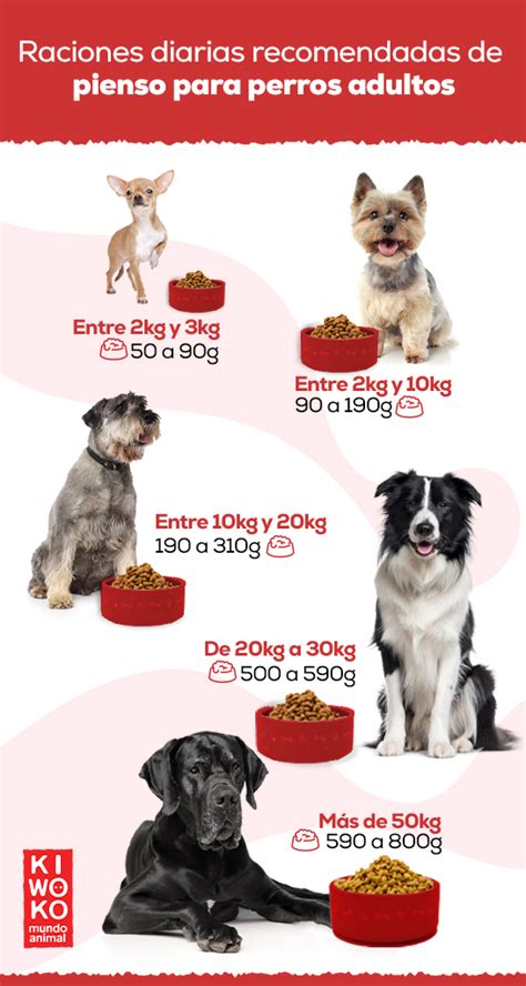 ¿cuánto Debe Comer Un Perro Kiwoko
