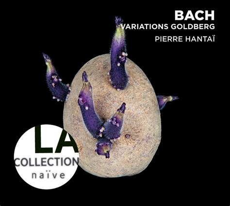 Eclassical Bach Goldberg Variations Bwv 988