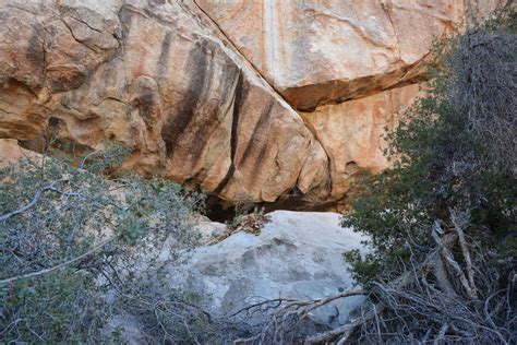 Patrick Tillett Alisters Cave Rock Art Joshua Tree National Park