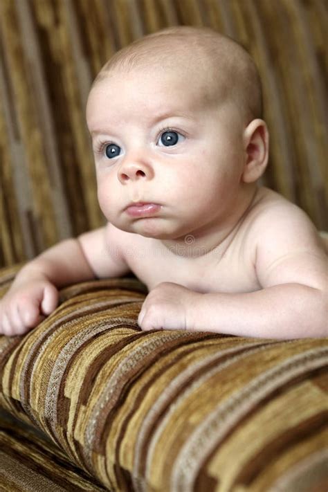 Newborn Baby Boy On The Sofa Stock Image Image Of Love Lifestyle