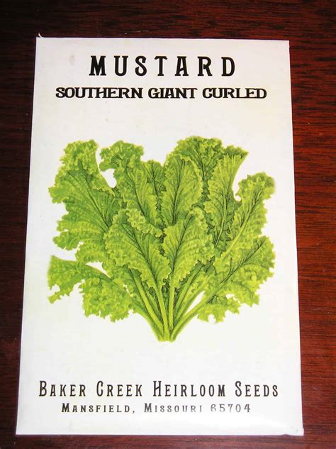 How To Grow Mustard Greens From Seed New Life On A Homestead