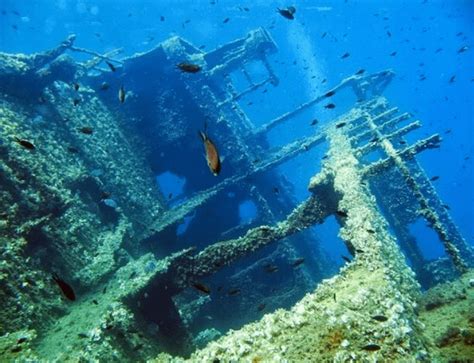 Shipwreck Of Elviscot Elba Island Tuscany Italy It Sank In 1972
