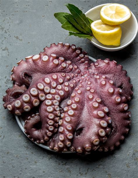 Seafood Octopus Whole Fresh Raw Octopus With Lemon And Laurel Gray