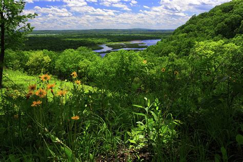 Wisconsin River And Spring Wildflowers From Ferry Bluff Photograph By