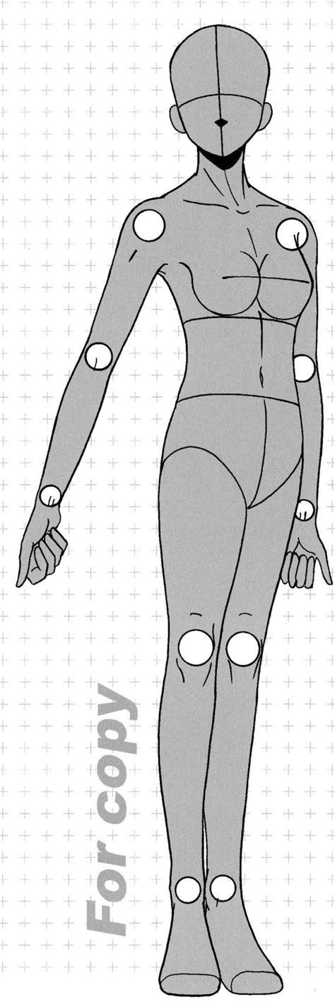 Female Full Body Pose Anime Body Base Body Draw Male Manga