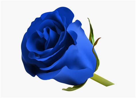 Blue Rose Png Clip Art Image Clipart Blue Roses Royal Blue Flower Png