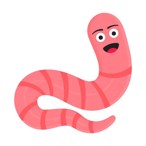 Giant Earthworm Illustrations Royalty Free Vector Graphics And Clip Art