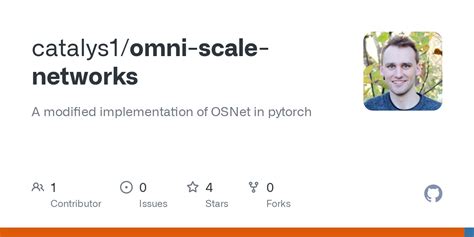 GitHub Catalys1 Omni Scale Networks A Modified Implementation Of