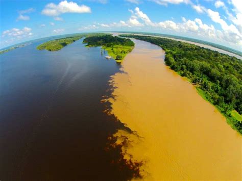 Amazon Rainforest Biodiversity Monitoring Distributed Sensing Systems