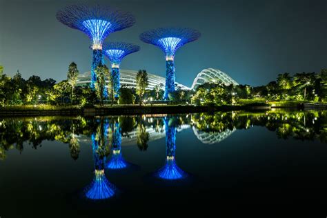 What To See And Do At Singapores Gardens By The Bay
