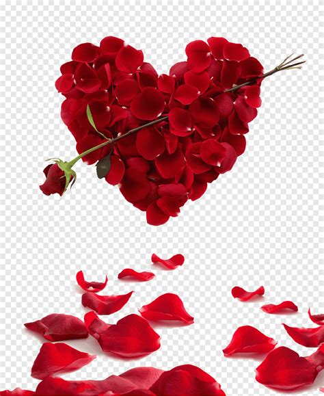 Red Flowers Rose Heart Flower Valentines Day Petalheart Love