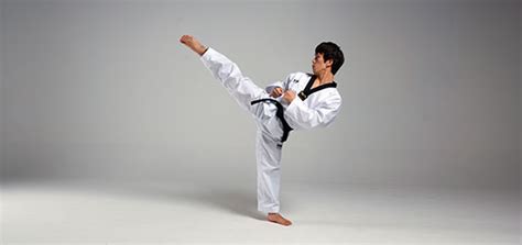 Roundhouse Kick Taekwondo Wiki