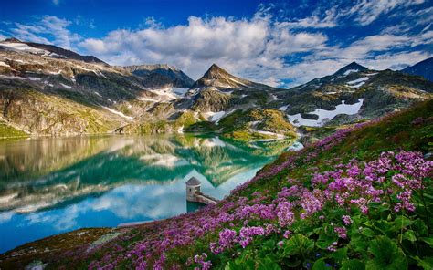 Landscape Mountain Lake Flowers Reflection Wallpapers Hd Desktop And Mobile Backgrounds