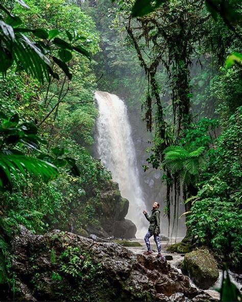 For Those Who Love Waterfalls La Paz Waterfall Gardens Is A Must A