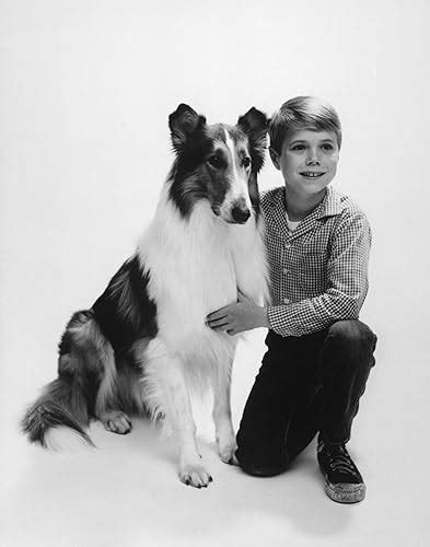 Lassie 1954 1974