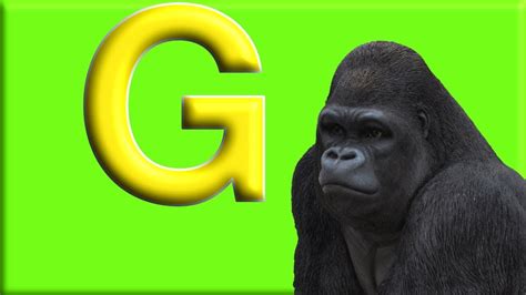 Letter G Alphabet Animals With Animal Names And Animal Sounds Youtube