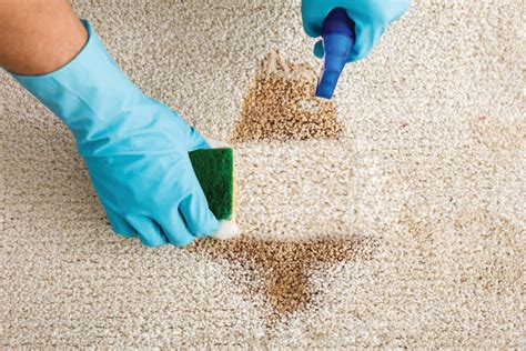 7 Simple Ways To Remove Carpet Stains A How To Guide