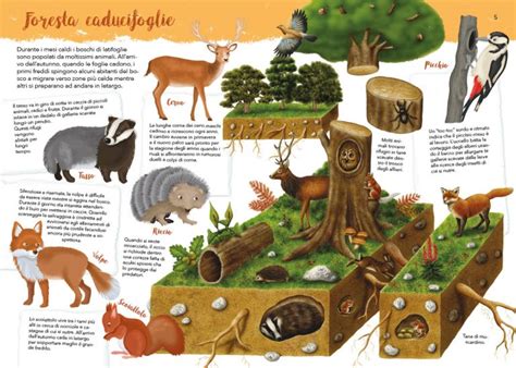 Animal Habitats – Ant's Books Packager