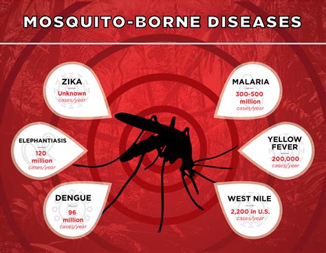 Zika Virus And Other Ailments Take Flight Infographic Uc Davis