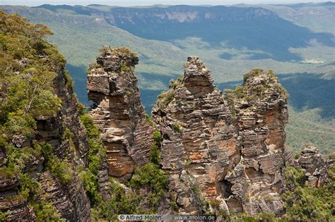 They tower over the jamison valley, at the respectable heights of 922m the three sisters is famous because it is a tourist destination and is a must see attraction of the blue mountains national park. Three Sisters rock formation photo. Blue Mountains, Australia