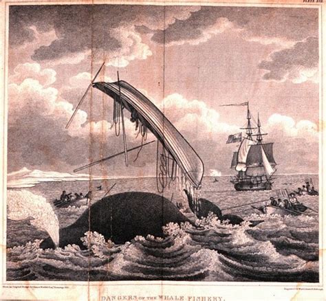 A Rotherhithe Blog Whaling At Howland Greenland Dock 1763 1806
