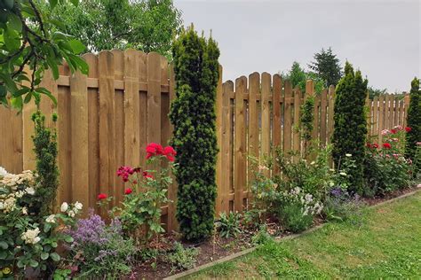 Worauf sollte sie beim kauf achten? Sichtschutzwände für Garten und Terrasse | selbermachen.de