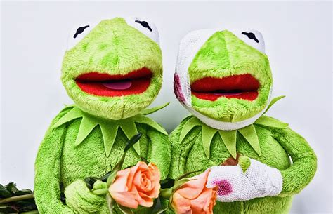 Download Free Photo Of Kermit Greetings Frog Get Well Soon Roses