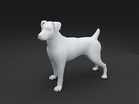 Jack Russell Terrier Dog Model 3d Model 3d Printable Stl