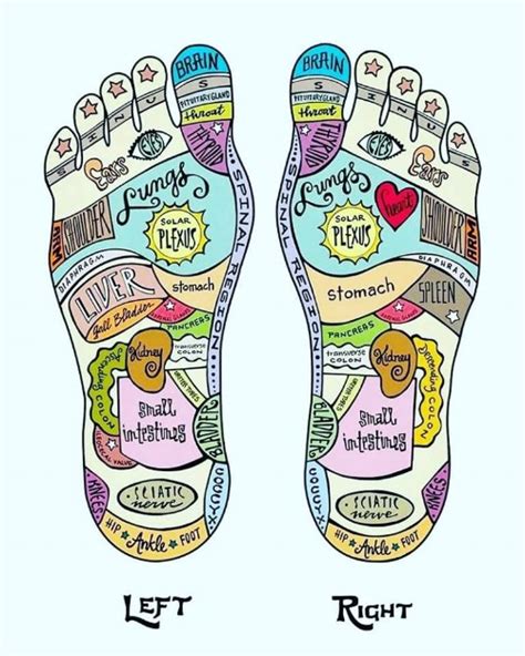 Reflexology Tapping Into The Power Of The Feet — Therapeutic Bodywork