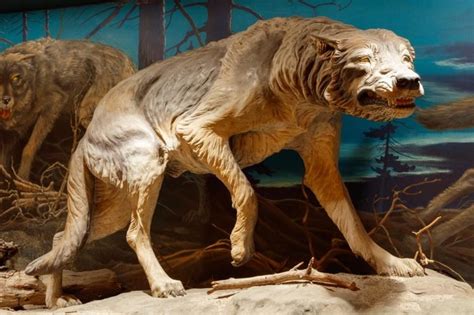 Prehistoric Animals That Are Straight Up Terrifying Readers Digest