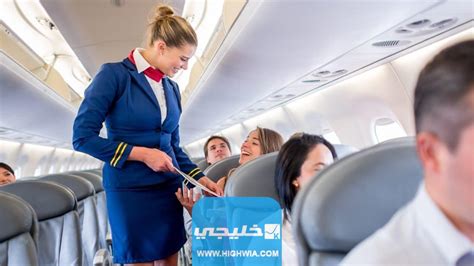 كم راتب مضيفة الطيران في قطر 2023 خليجي