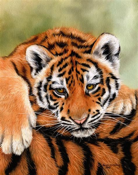 Tiger Cub Painting By Sarah Stribbling Fine Art America