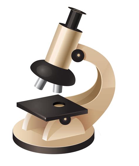 Microscopio Sin Fondo Clip Art Png Play