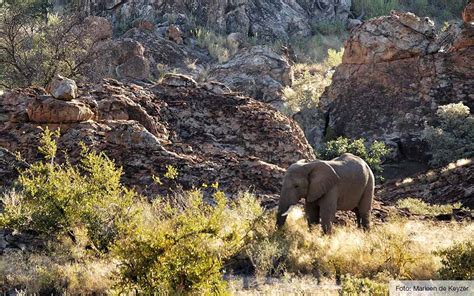 Mapungubwe National Park Alle Tips Reviews En Reizen Vind Je Op Zuid