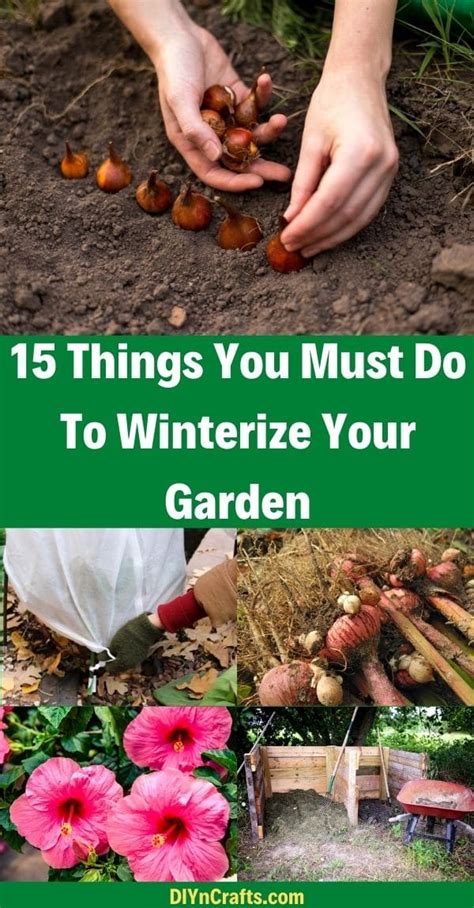 15 Things You Must Do To Winterize Your Garden Diy And Crafts