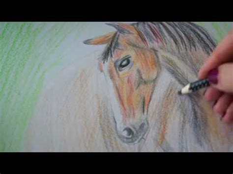 Pferd zeichnen lernen - Pferdekopf malen - how to draw a ...