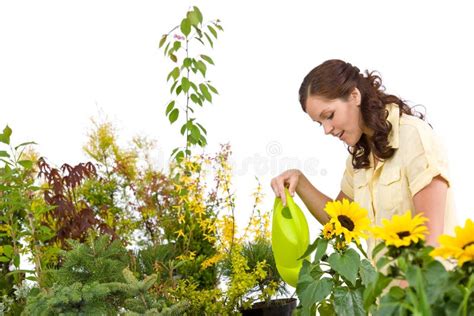 Gardening Woman Pouring Plants With Watering Can Stock Photo Image