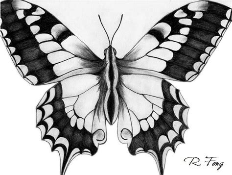 Mariposas Para Dibujar A Lapiz
