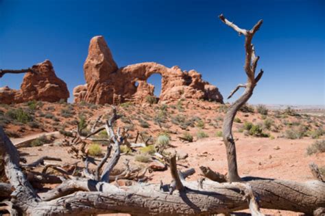 Stump And Turret Arch Stock Photo Download Image Now Arches