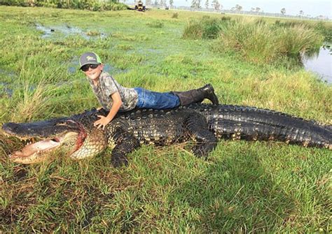 Você Não Sabe O Que é Um Crocodilo Gigante Até Ver Este Da Flórida Gq