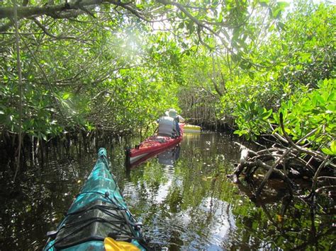 Florida Outdoor Adventures Guided Everglades Kayak Tours Everglades