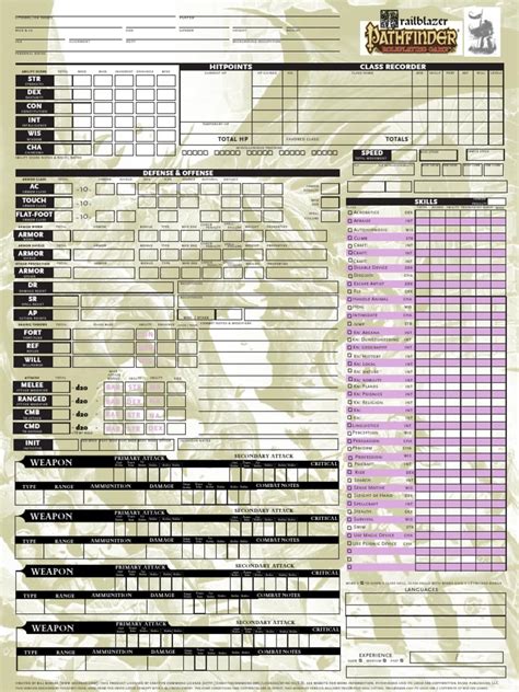 Pathfinder D20 Character Sheet Role Playing D20 System