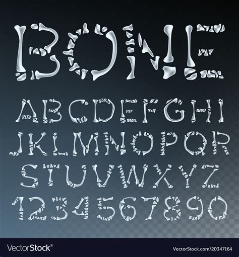 Bone Font Letters Anatomy Abc Alphabet Royalty Free Vector