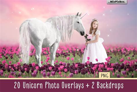 Unicorn Overlays Pack Design Cuts